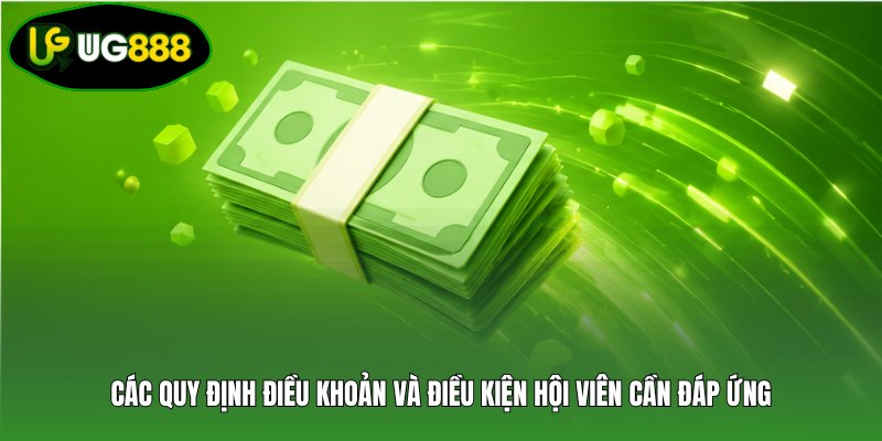 Các quy định điều khoản và điều kiện hội viên cần đáp ứng
