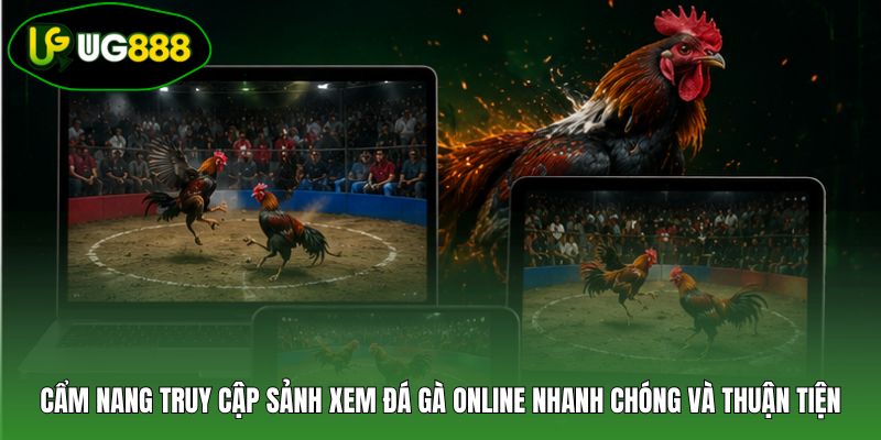 Cẩm nang truy cập sảnh xem đá gà online nhanh chóng và thuận tiện