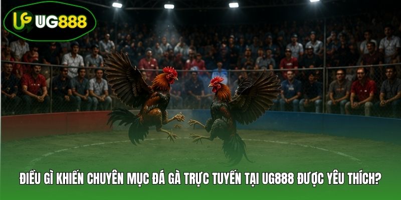 Điều gì khiến chuyên mục đá gà trực tuyến tại UG888 được yêu thích?