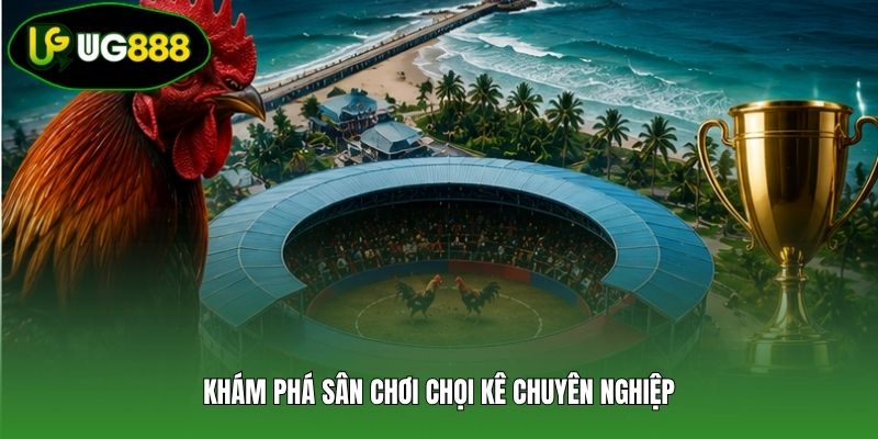 Khám phá sân chơi chọi kê chuyên nghiệp